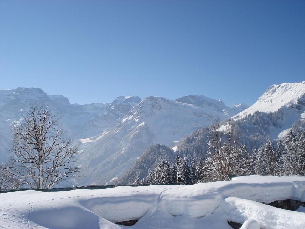 Adrenalin Backpackers Hostel Braunwald Esterno foto